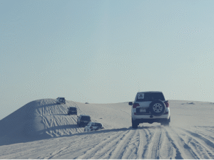 Desert Safari